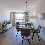 Zerini